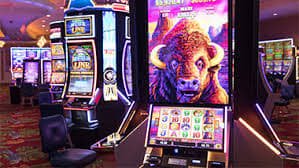 burma780 ဘင်ဂို VIP Cashback Bonus မြန်မာ Online Bingo ဆုငွေ MMK ကျပ်